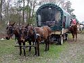 089-Wagon & Mules